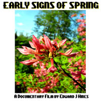 EarlySignsSpring.jpg